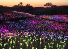“Bruce Munro: Field of Light at Sensorio” — Paso Robles, California. Photo by Helen Melman